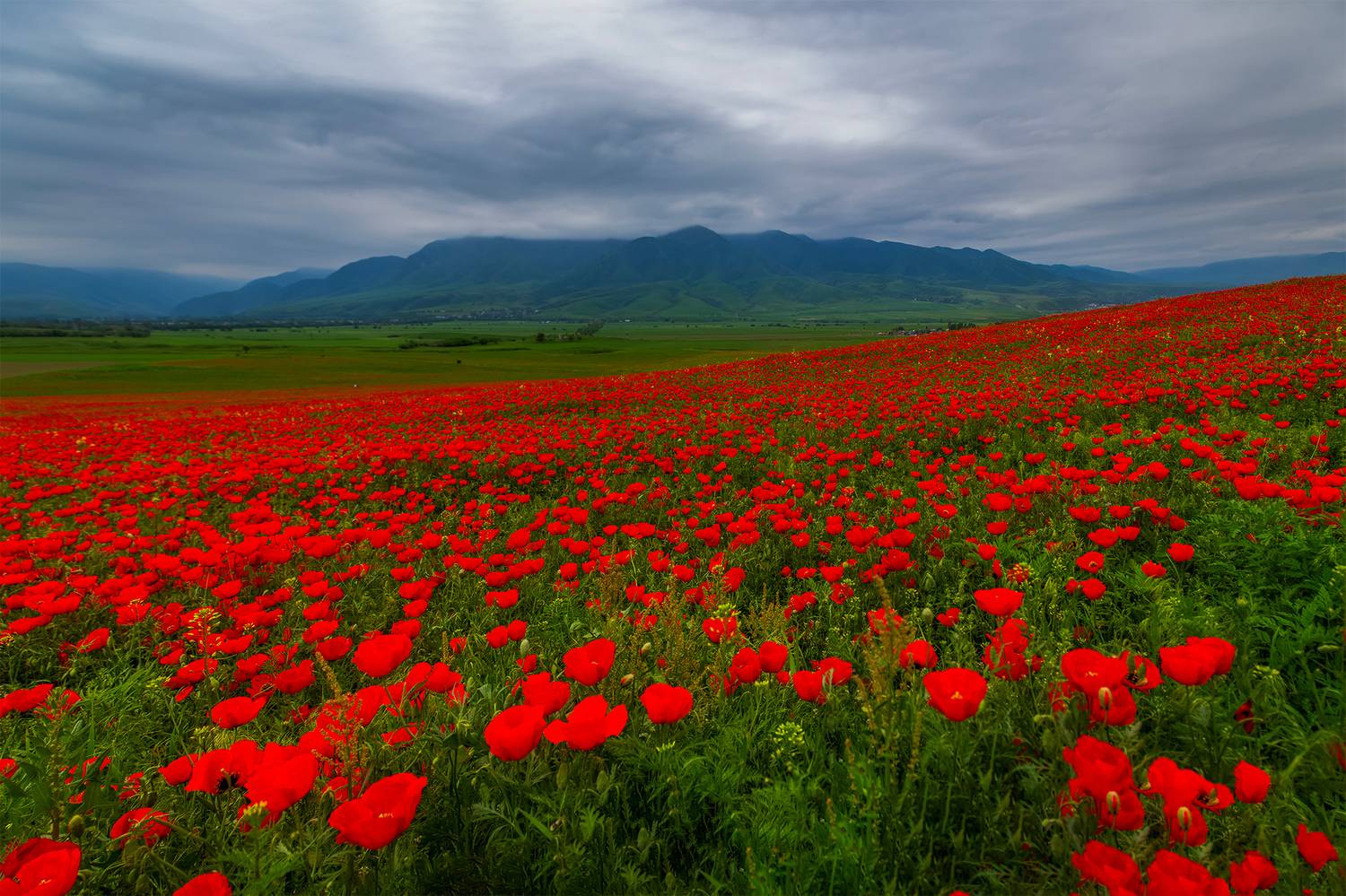 кыргызстан, чуйская долина, Элина Магалимова