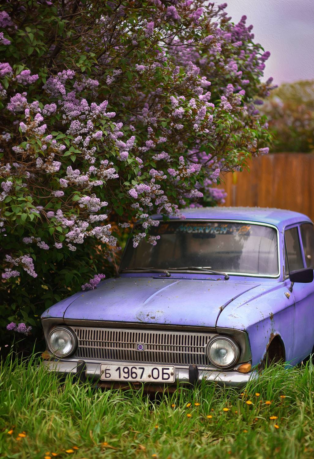 , Раевская Елена