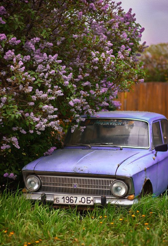 Старушка... фото превью