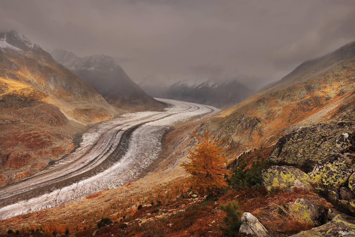 swiss, Матвеев Николай