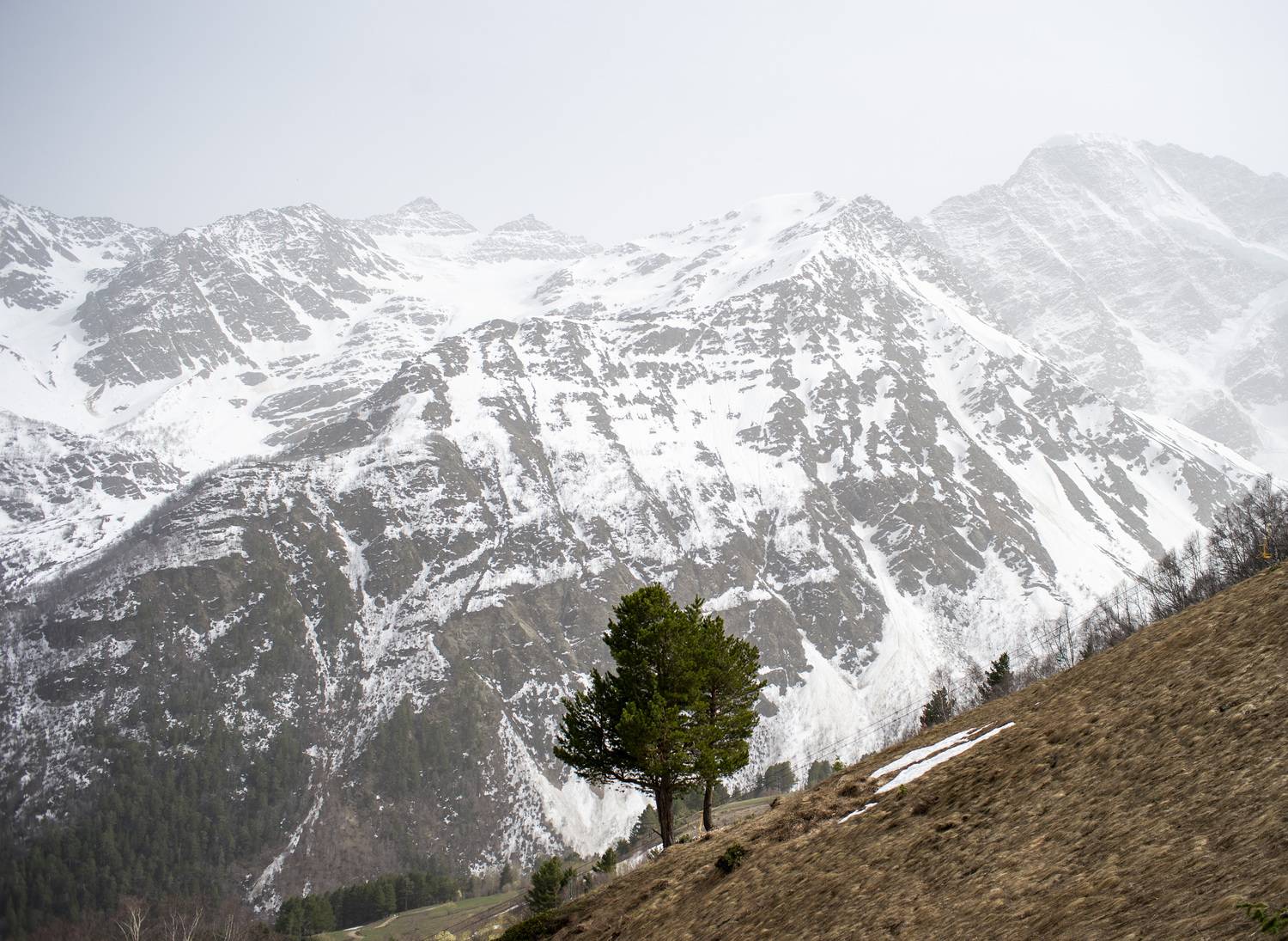 , Дмитрий Демидов