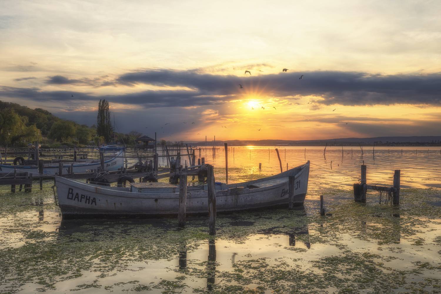 , Маджаров Костадин