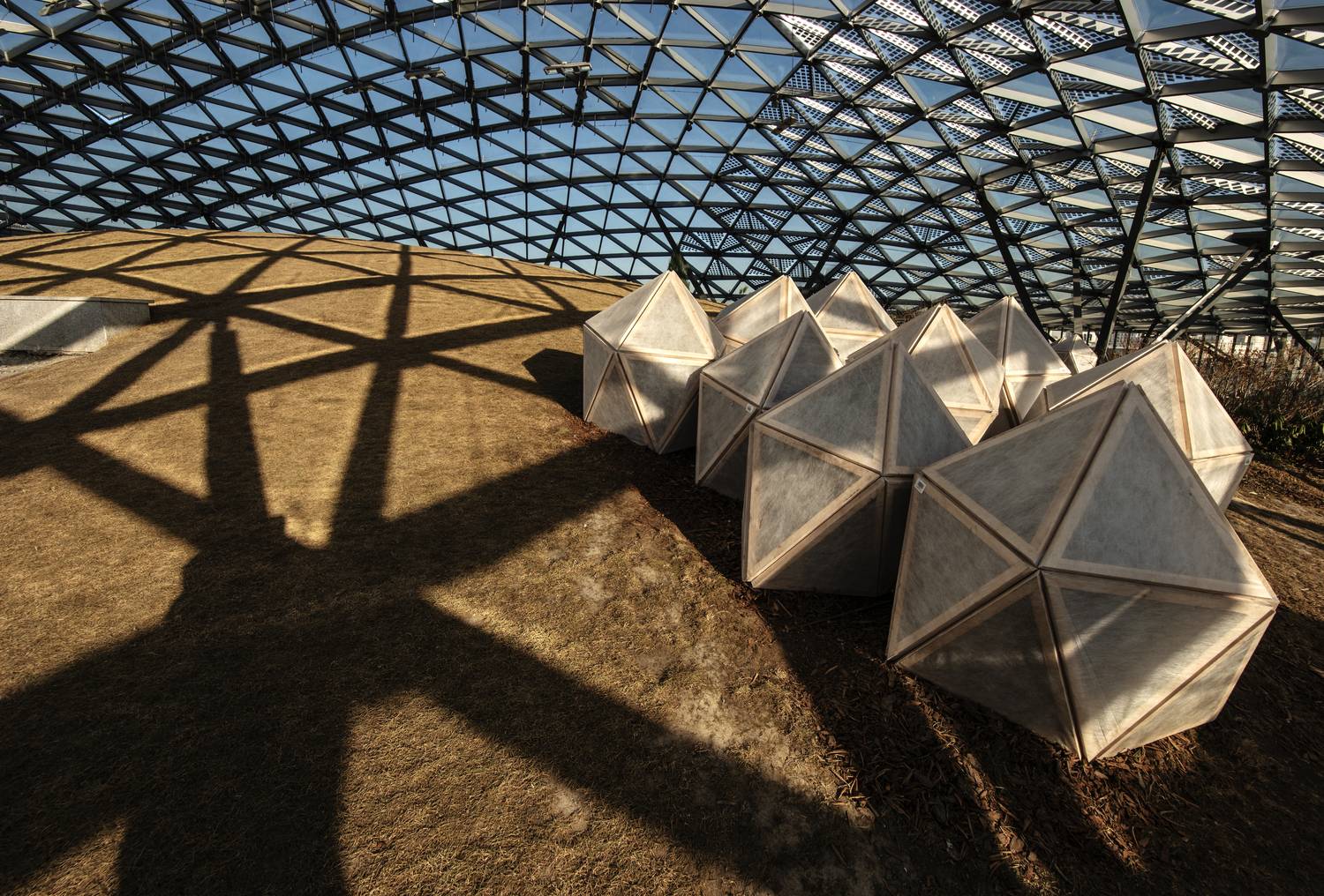 , Дмитрий Ткаченко