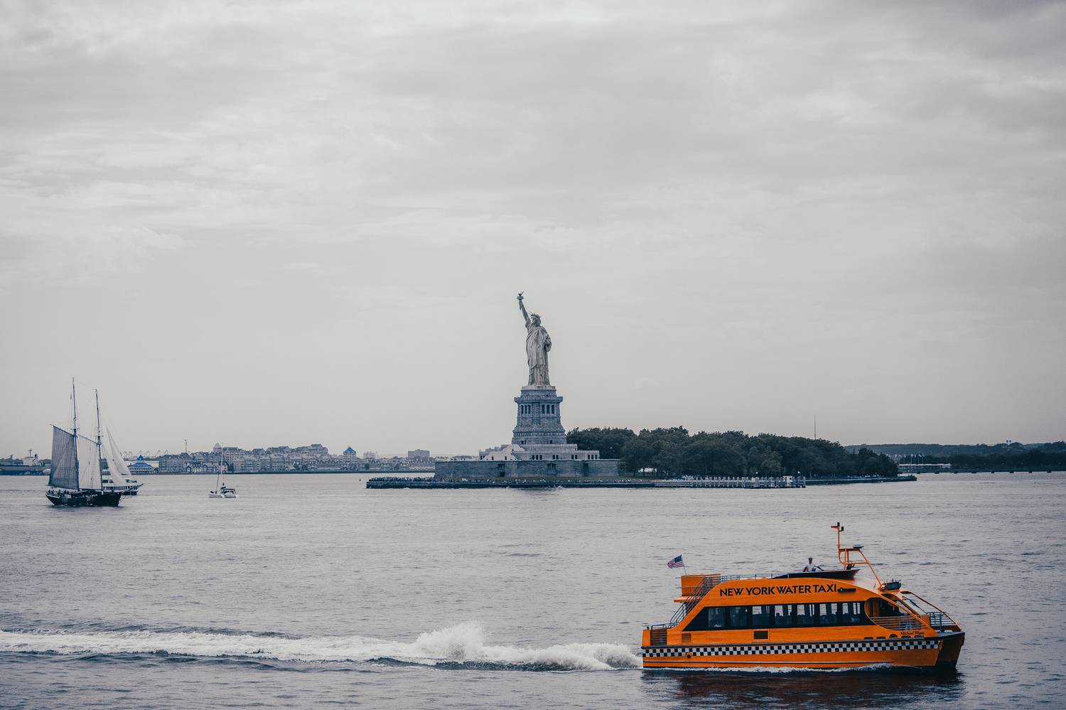 , Трепольский Дмитрий