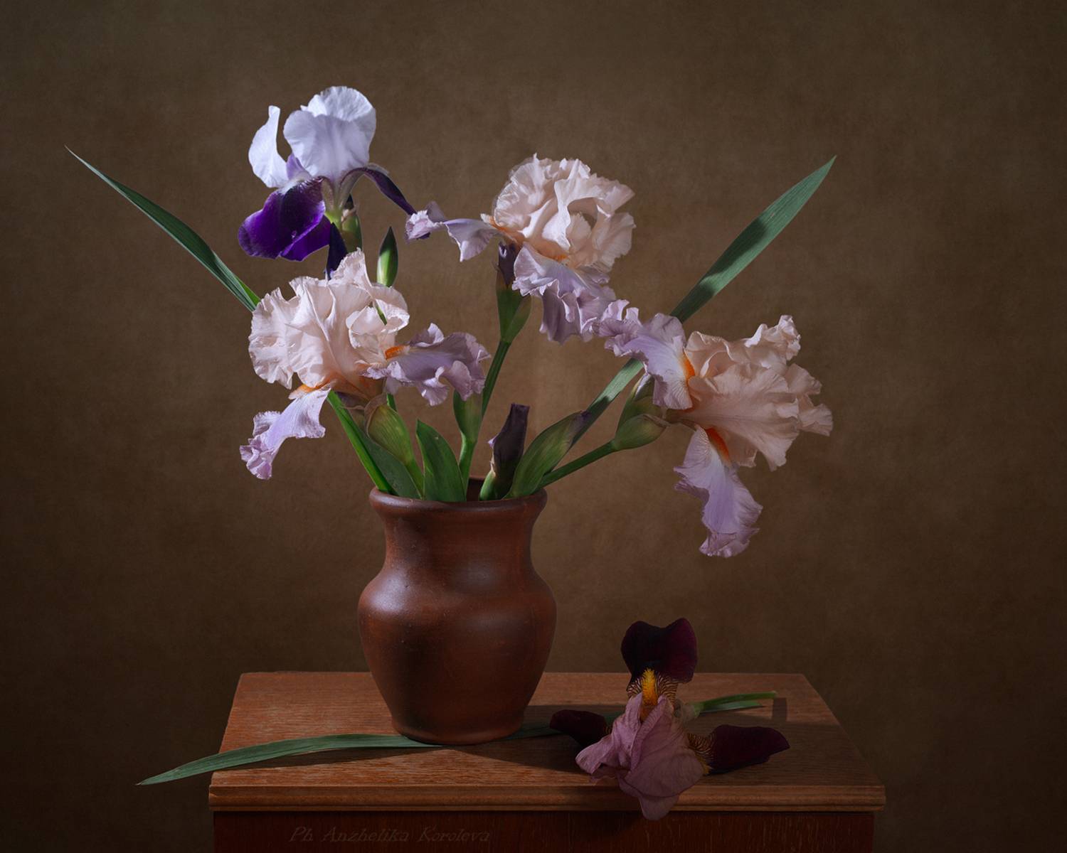 , Анжелика Королева