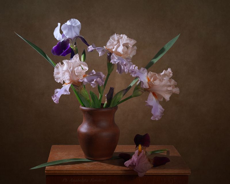 фото превью