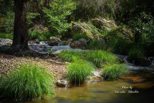 Тишина, которую слышно ??