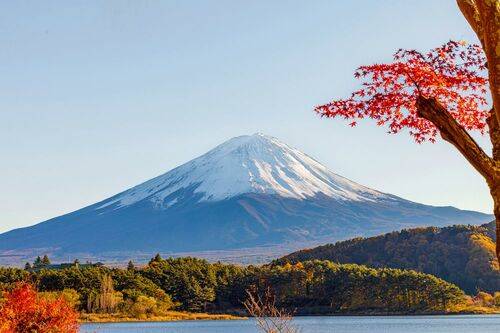 Mt Fuji