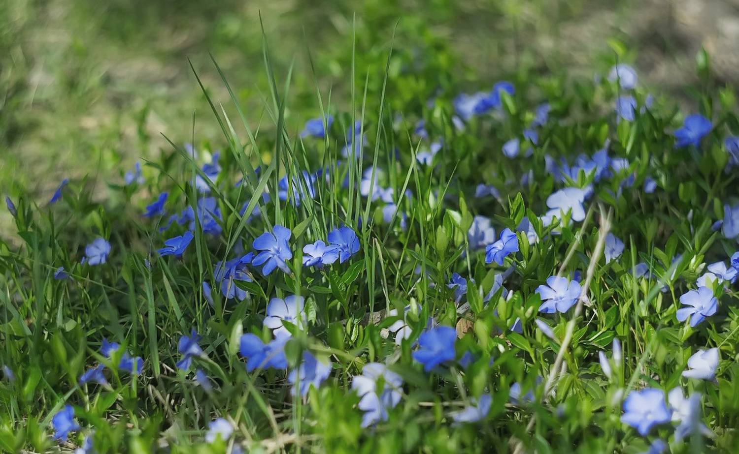 , Лысенко Сергей