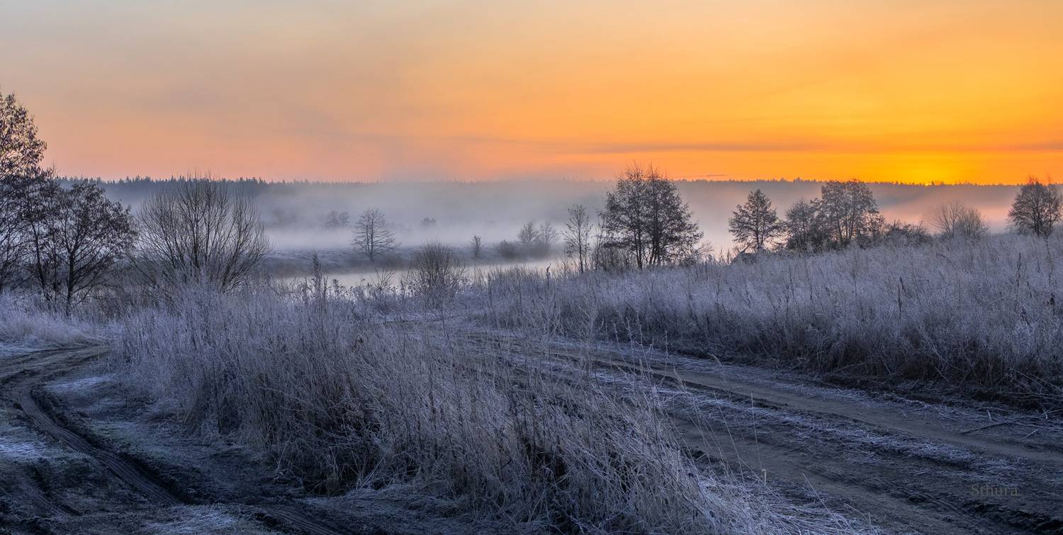 весна туман озеро утро дорога иней природа пейзаж, Александр Строков