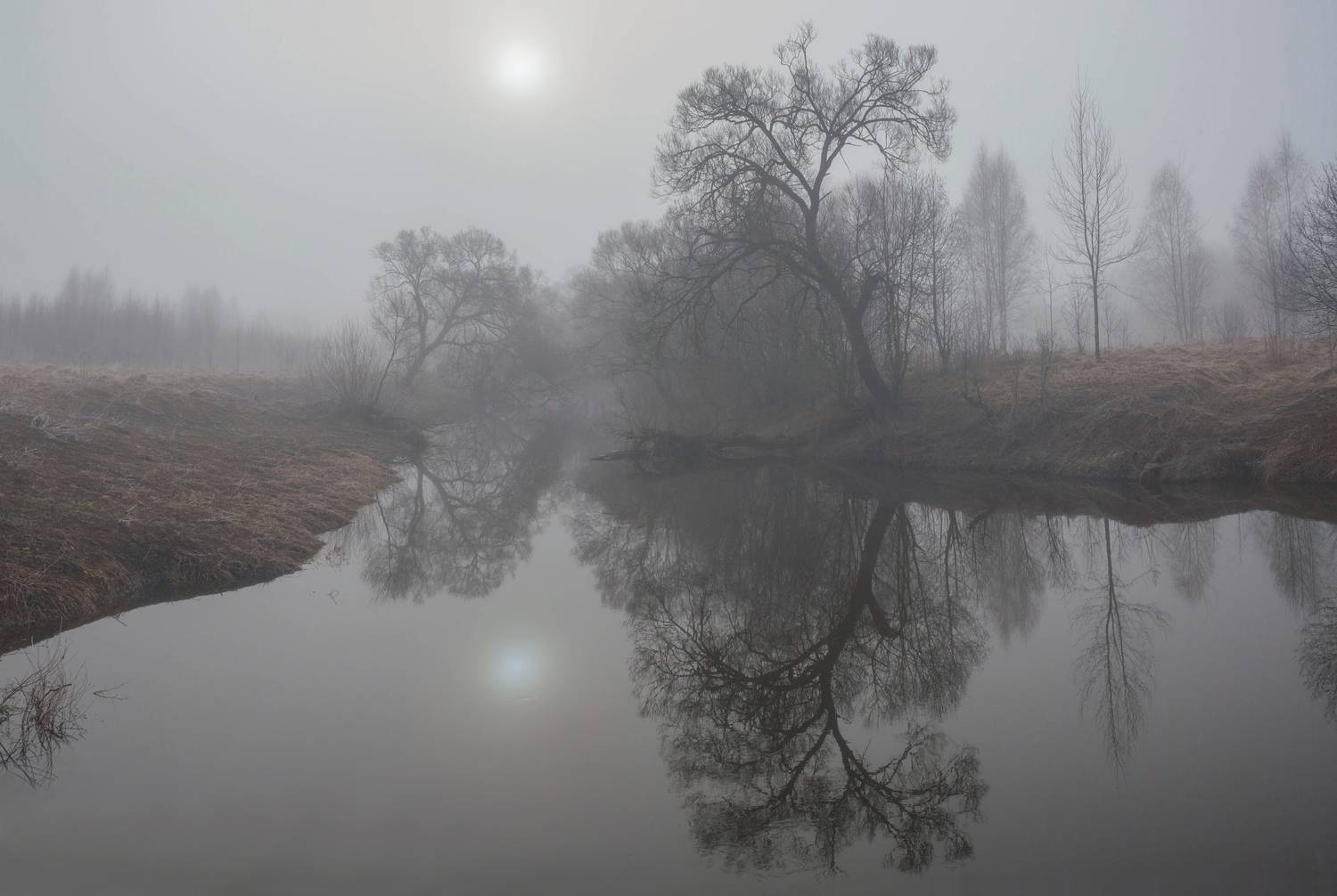 весна, река, туман, Свистков Александр