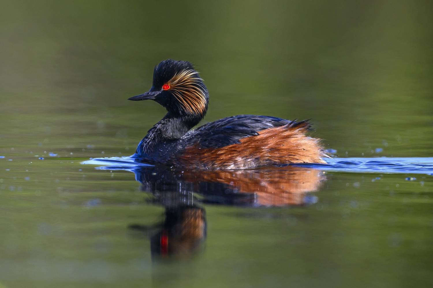 , Пупонин Сергей