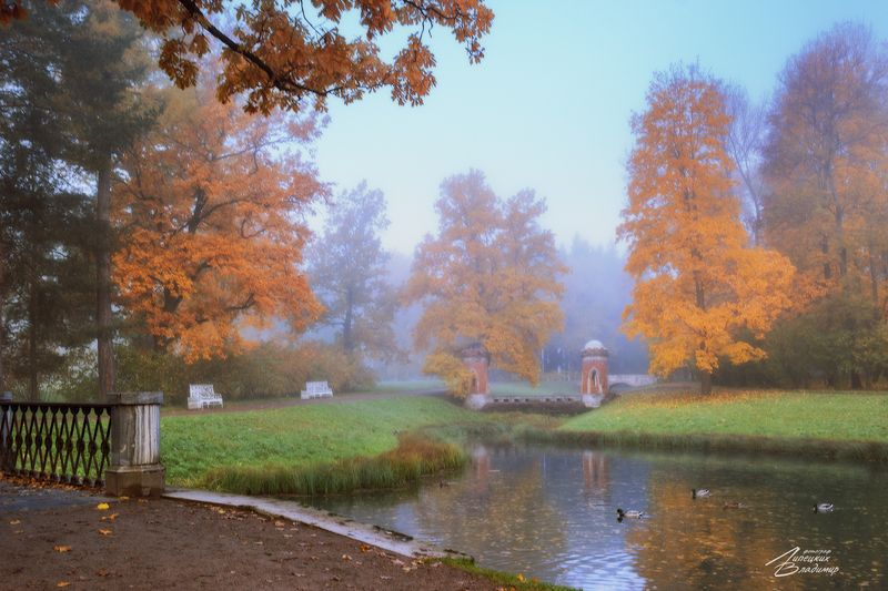 санкт-петербург, екатерининский парк, осень Екатерининский парк фото превью
