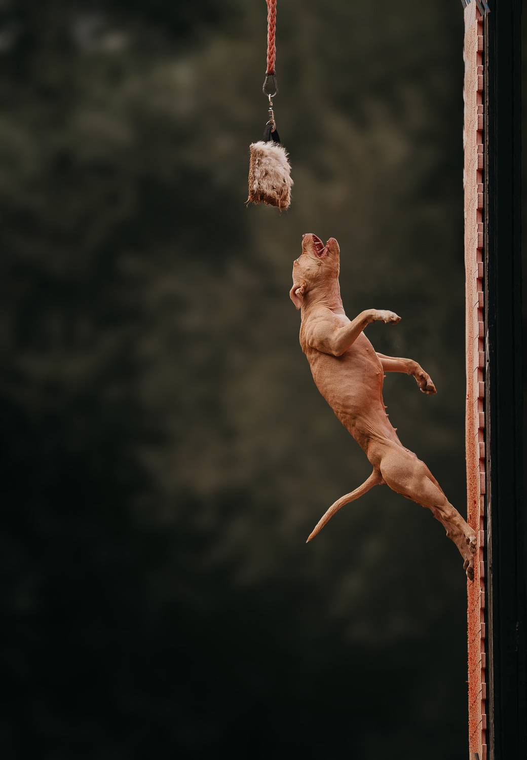 , Софья Евгеньевна