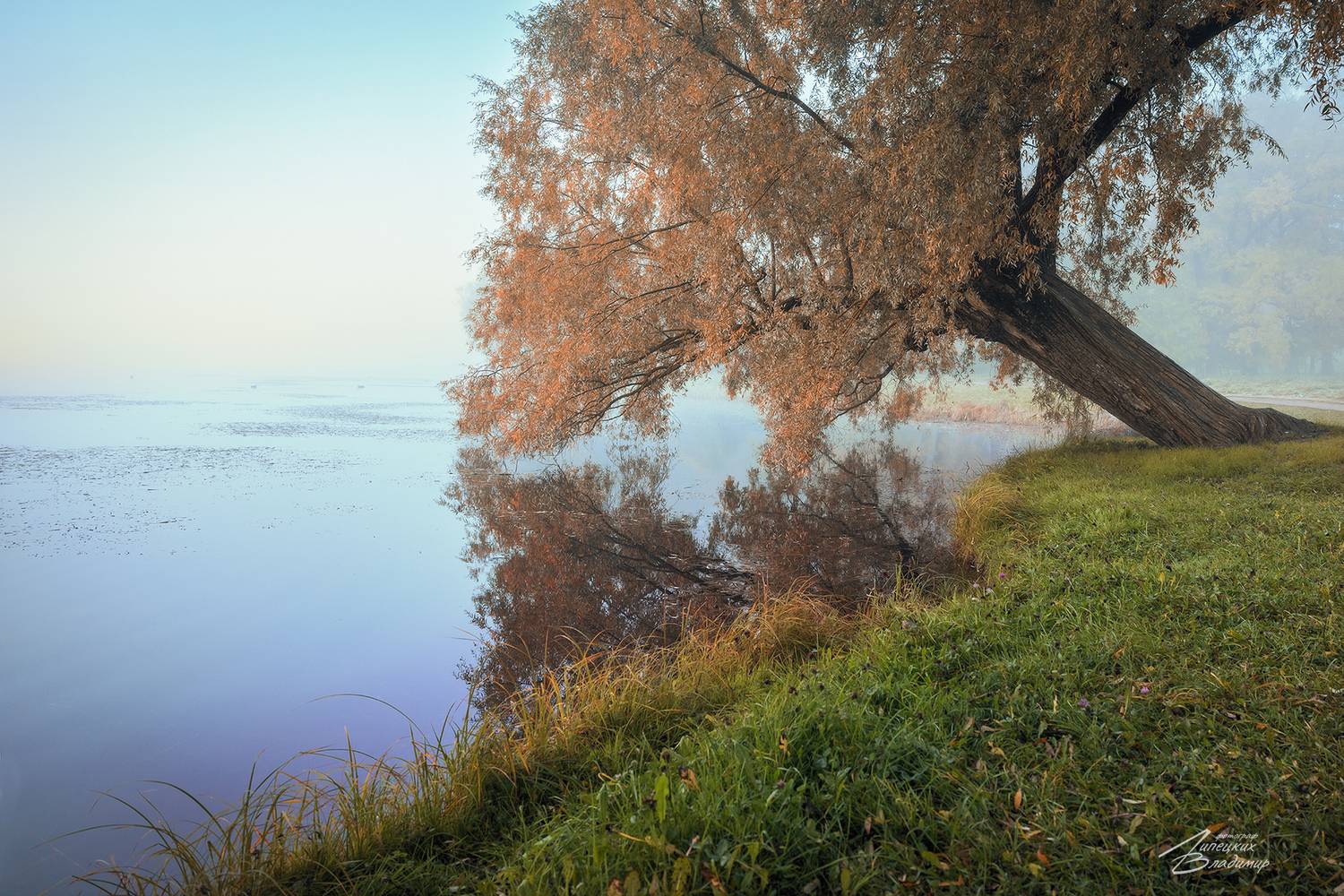 санкт-петербург, екатерининский парк, осень, большой пруд, Липецких Владимир