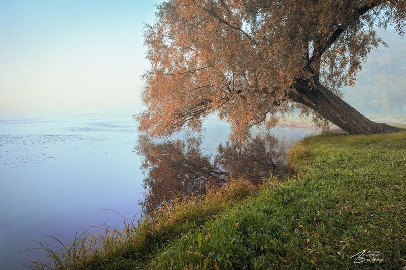 санкт-петербург, екатерининский парк, осень, большой пруд Екатерининский парк фото превью