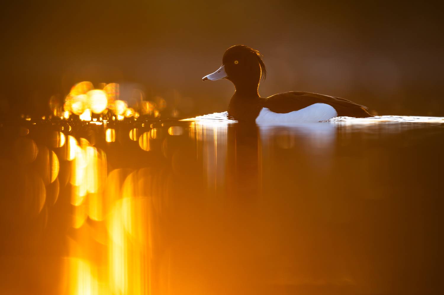 , Калинин Михаил