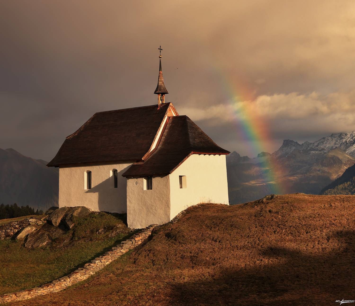 swiss, Матвеев Николай