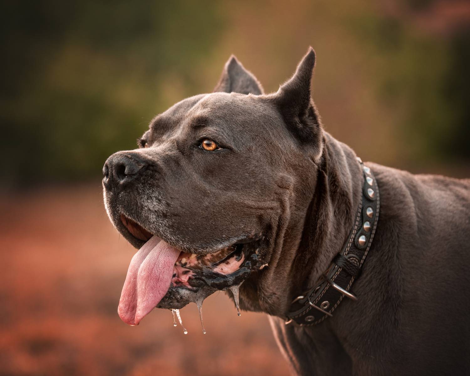 , Юлианна Митрофанова