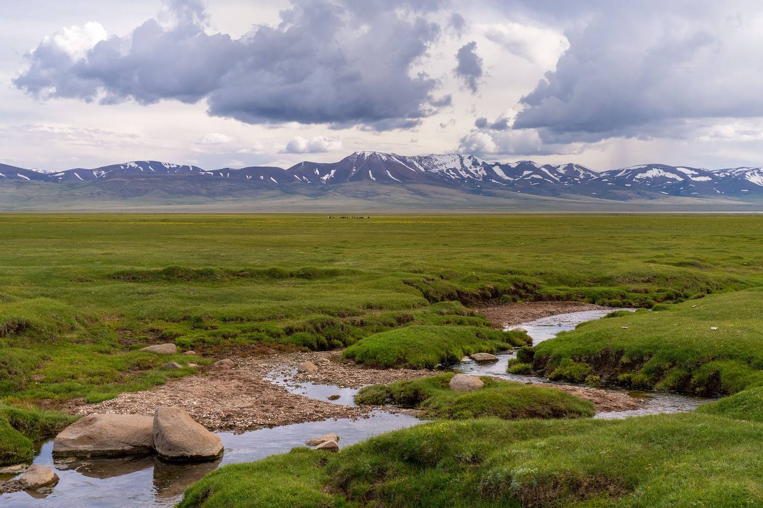 , Межин Сергей