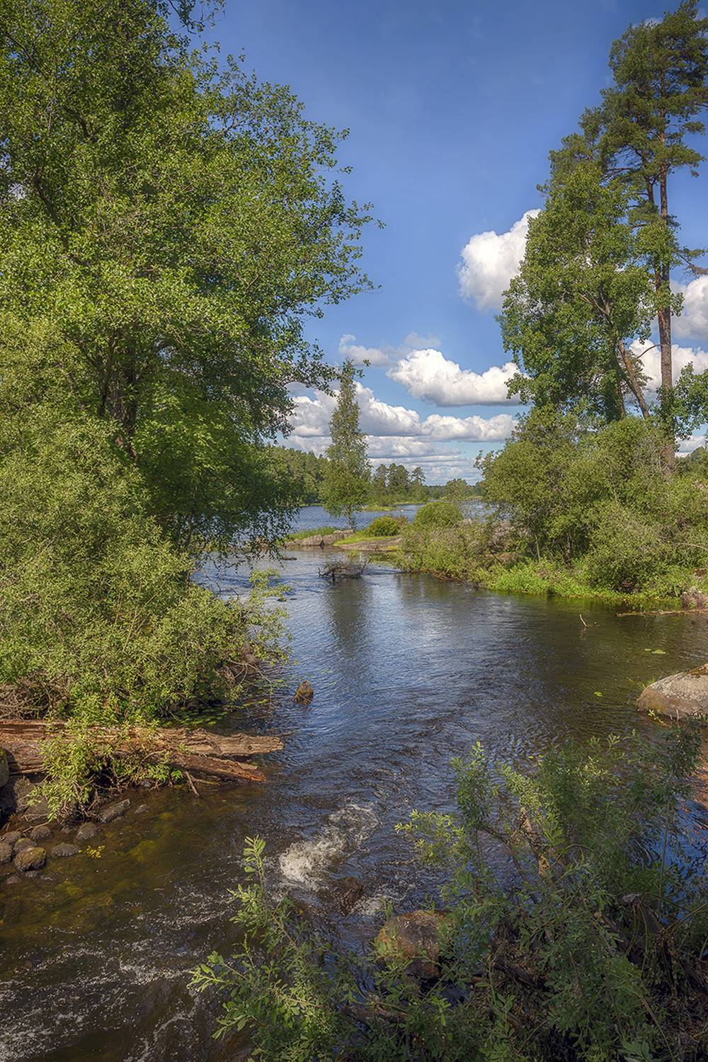 , Сергей Аникин