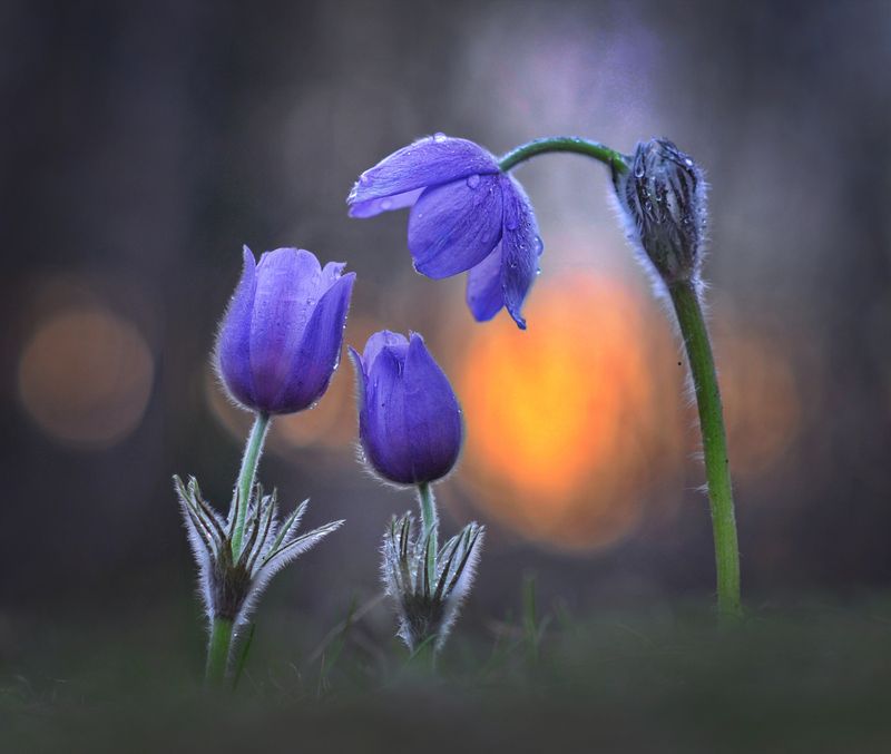 Забота фото превью