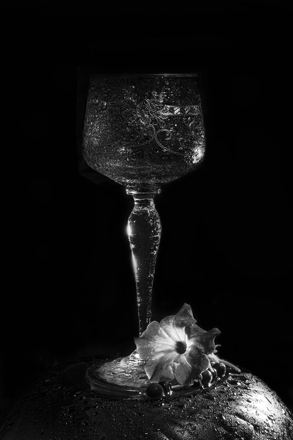 , Бурикова Екатерина