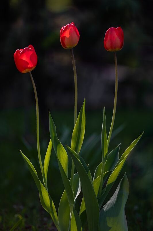 Майские этюды фото превью