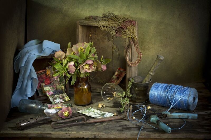 весна, садовые принадлежности, морозник, секатор \