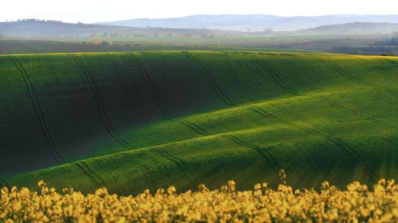 Поля Моравии фото превью