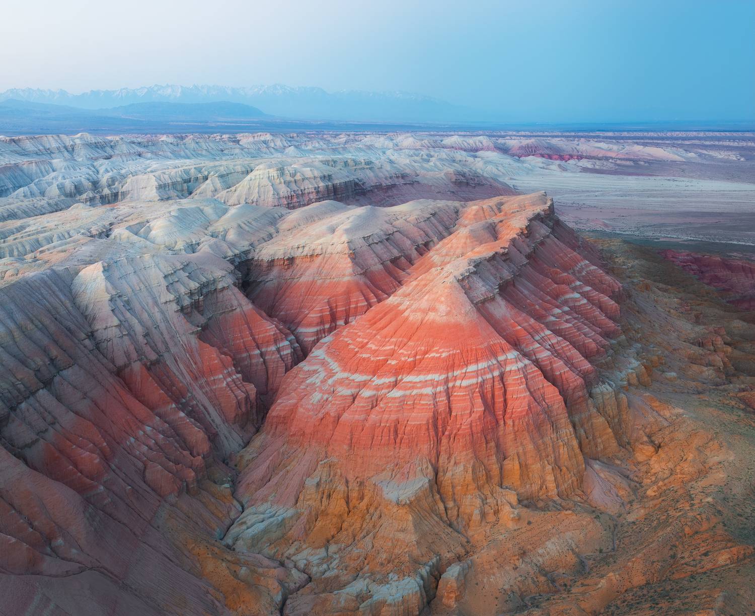 , Антон Агарков