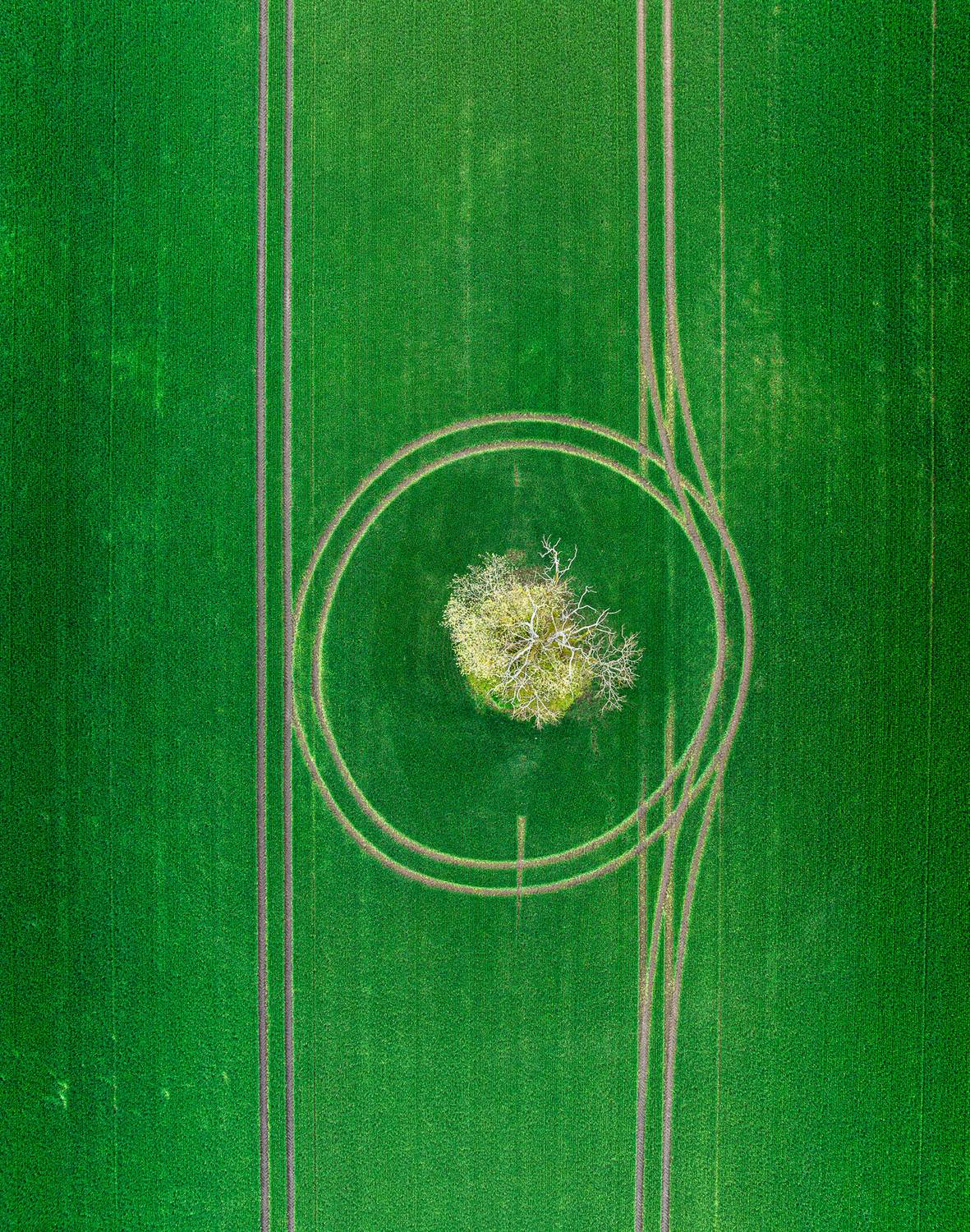 , Гордон Николай