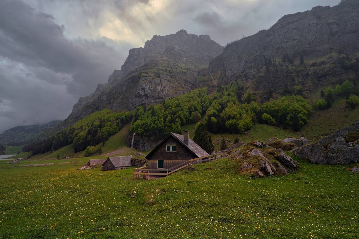 swiss.альпы, VIktor