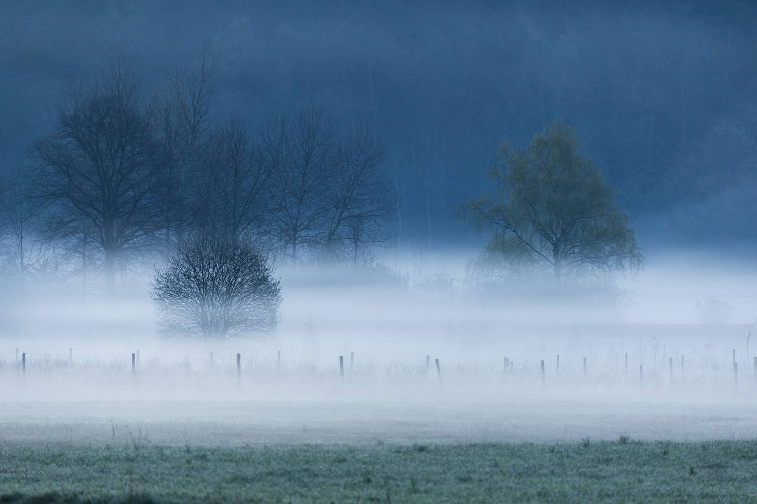 ,  Mirosław Pruchnicki