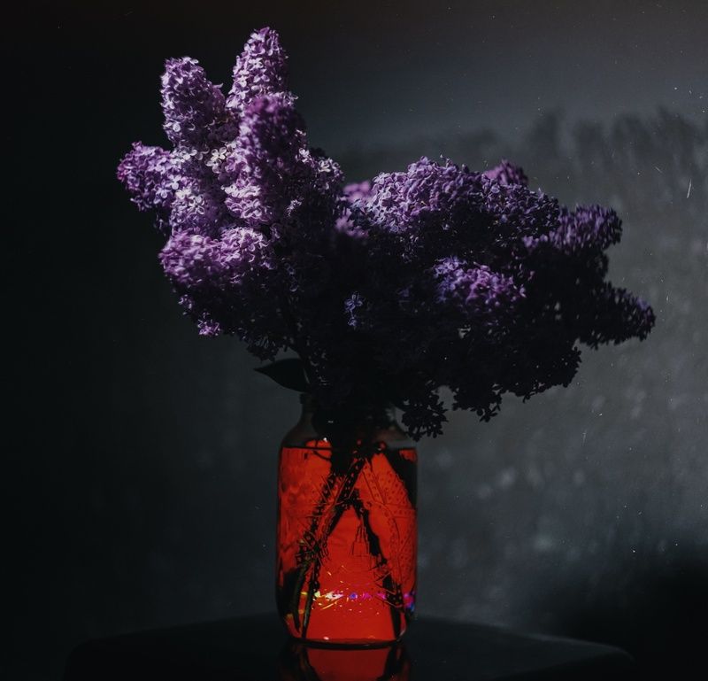 натюрморт, сирень, букет, победа, великая победа, символ, сирень победы, красота, память, подвиг, величие, праздник, винтажная оптика, мануальное, гелиос 44-2, керчь, крым, россия Сирень Великой Победы. фото превью