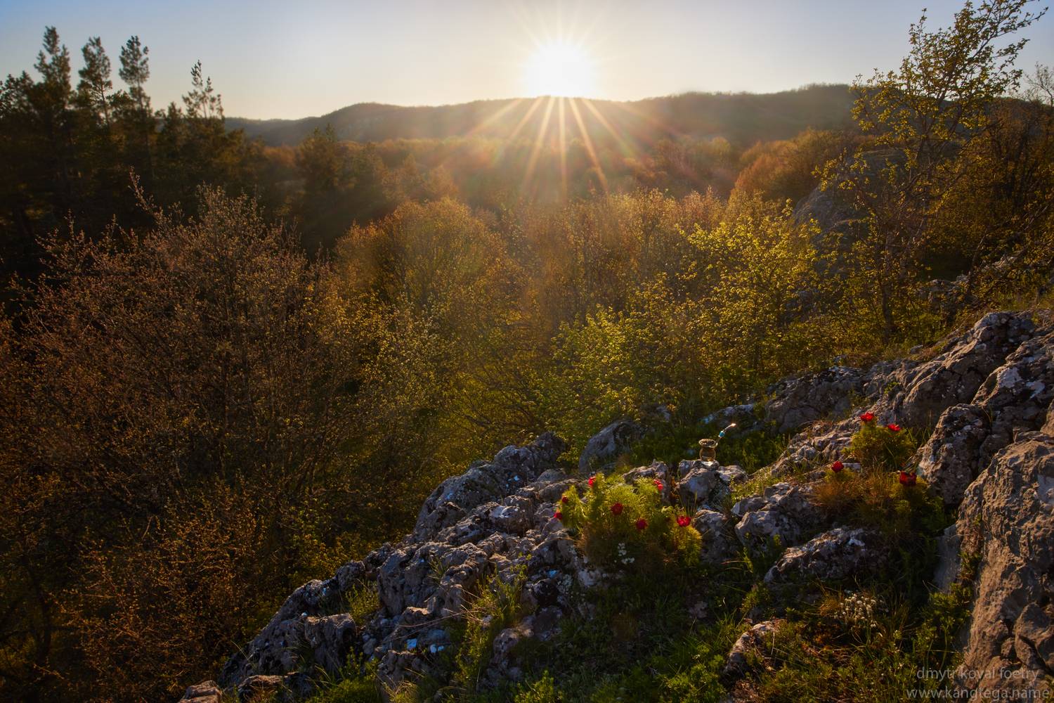 пейзажемагьё, пейзаж-как-виденье, Коваль Дмитр