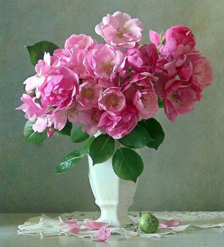 Чудесны нежные цветы