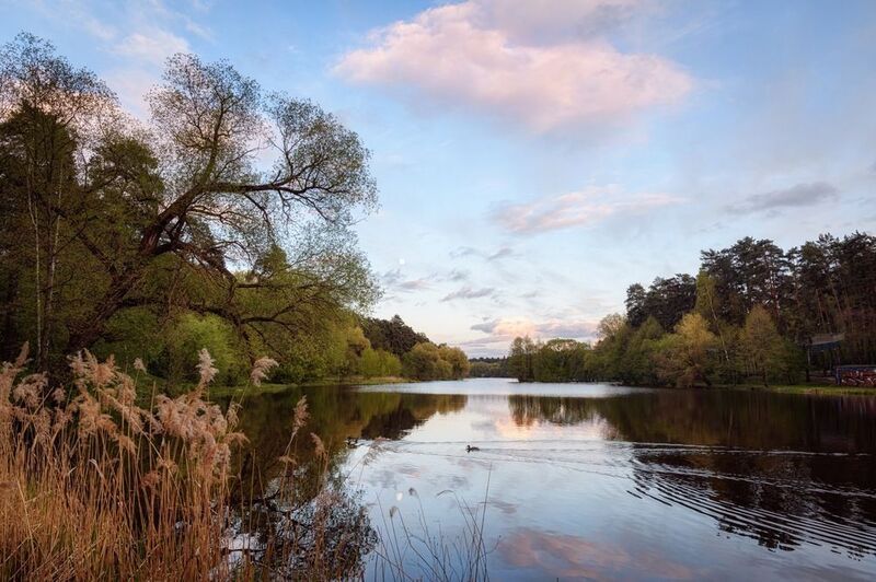 озеро, вечер, луна, отражение Лунный вечер в Кратово фото превью