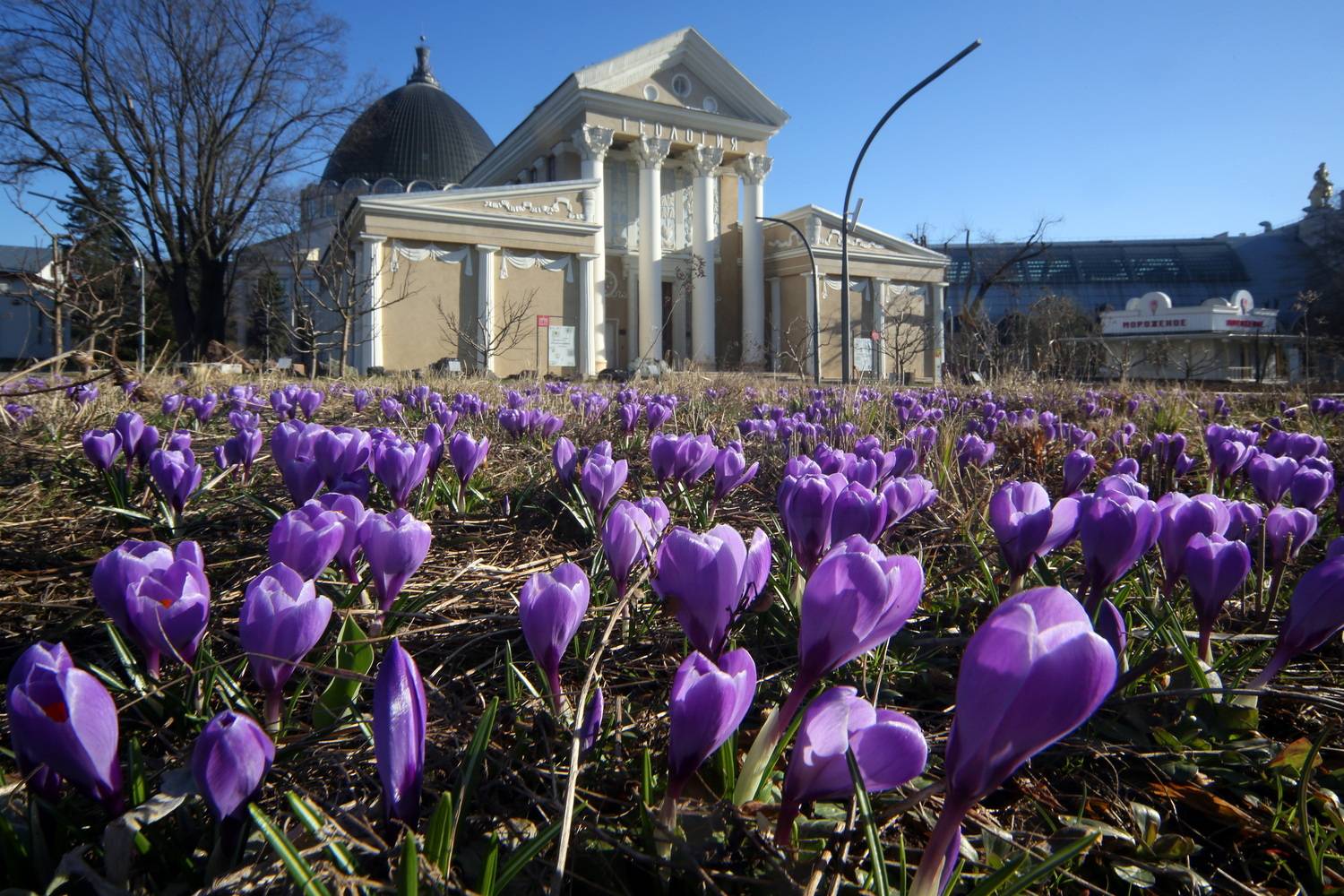 , Бибичков Михаил