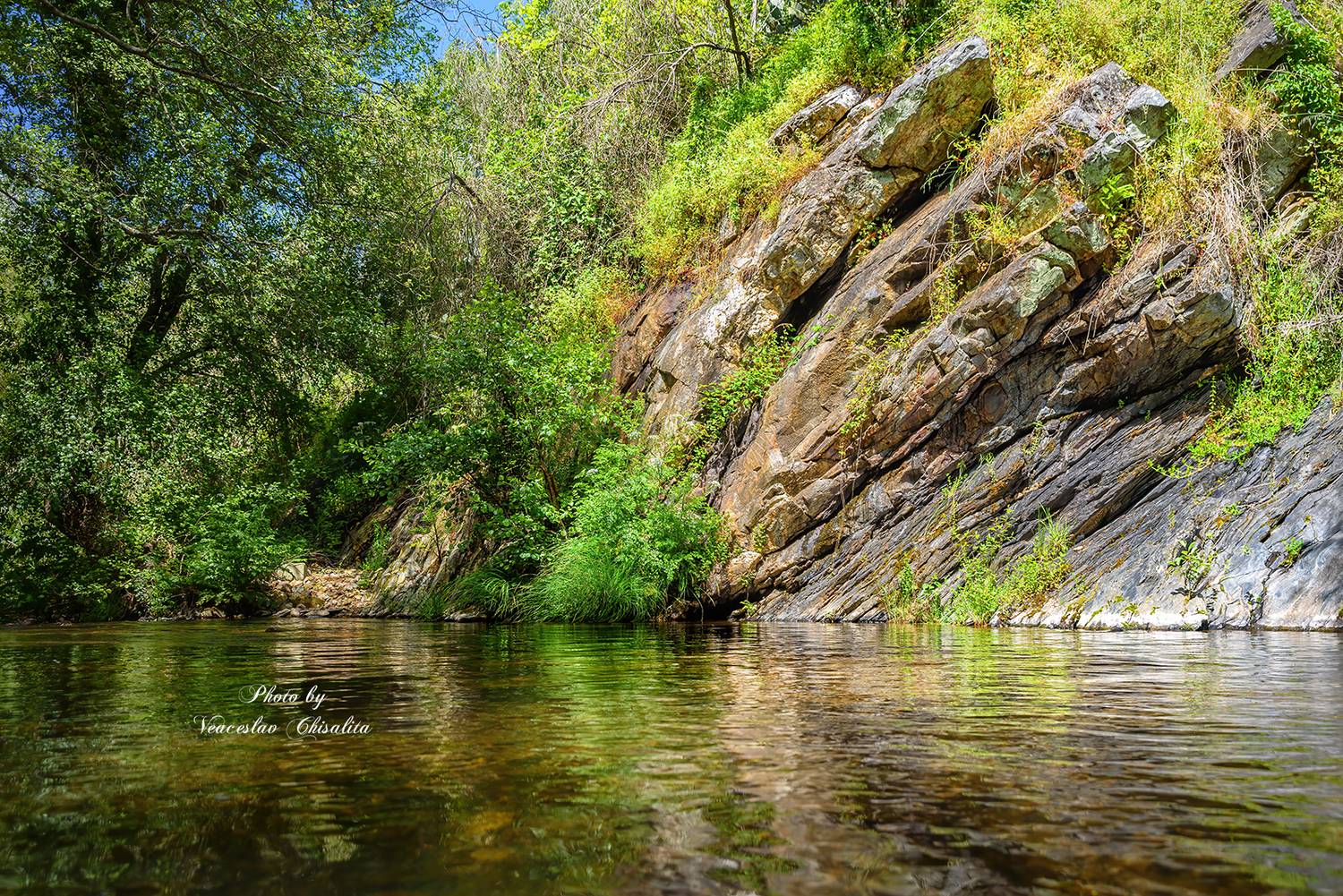 #природа #горныйручей #живописно #горы #поход #летовгорах #пейзаж #тишина #свежийвоздух #диканатура #поток #зелень #вода #горнаярека #природнаямагия #nature #mountainstream #greenescape #hikingadventures #naturevibes #wildwater #earthmood #sereneviews #la, Veaceslav Chisalita