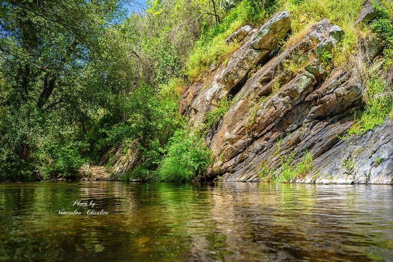 #природа #горныйручей #живописно #горы #поход #летовгорах #пейзаж #тишина #свежийвоздух #диканатура #поток #зелень #вода #горнаярека #природнаямагия #nature #mountainstream #greenescape #hikingadventures #naturevibes #wildwater #earthmood #sereneviews #la Танец воды и скал фото превью