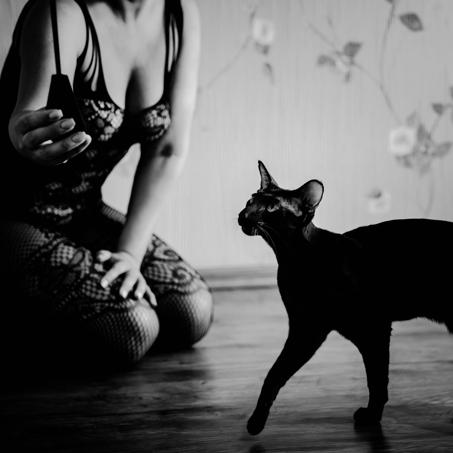 , Вертиков Юрий