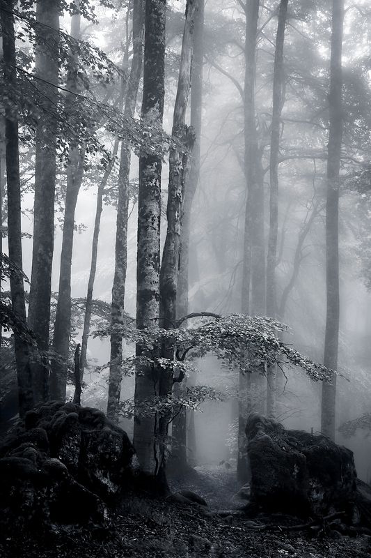 Urbasa, amanecer фото превью