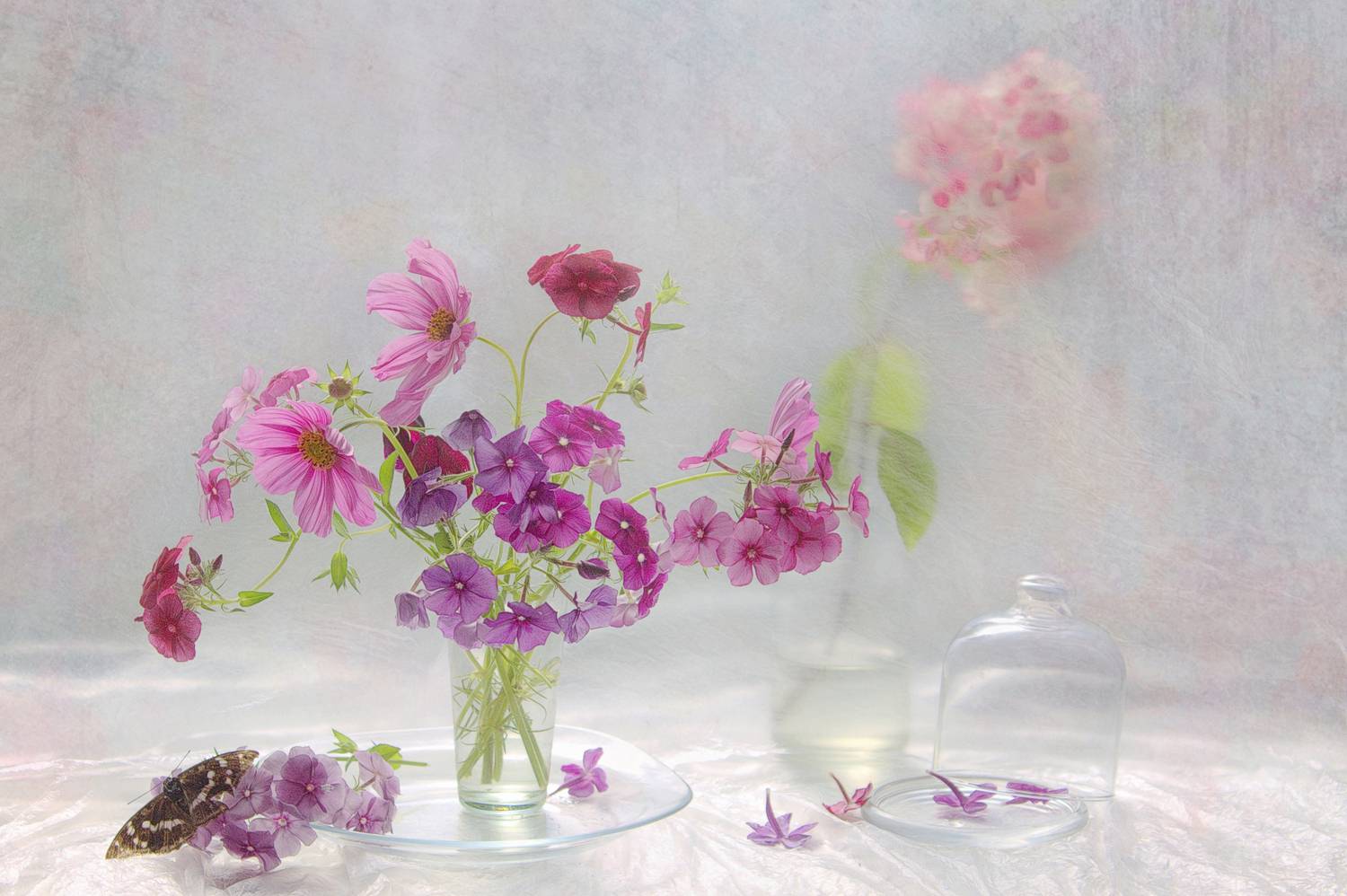 , Хохлова (Ермохина) Наталья