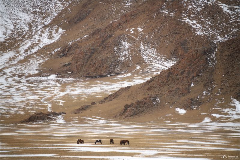 ШТРИХИ фото превью