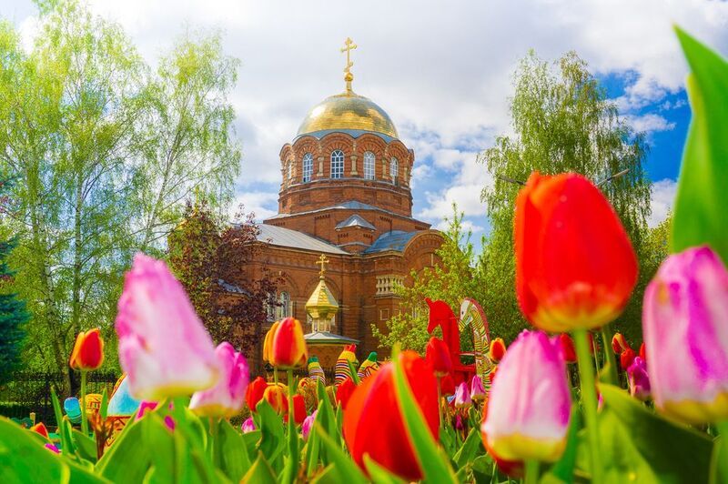 церковь, сергия радонежского, памятник, чаепитие, тюльпаны, май, тула, город, россия, зимин Церковь Сергия Радонежского в Туле. фото превью