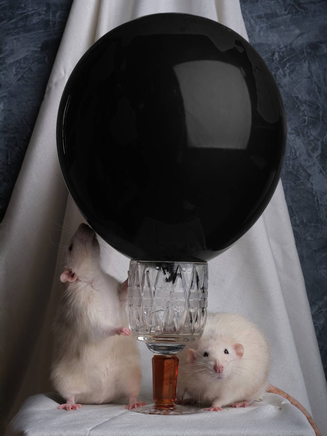 , Тим Мартынов