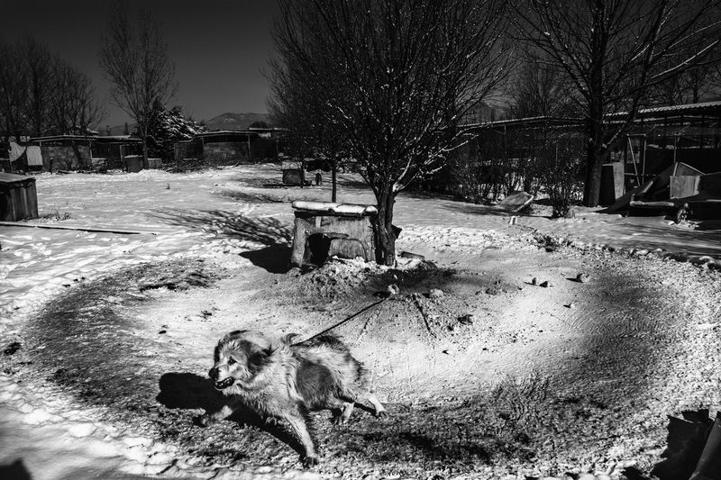 * фото превью