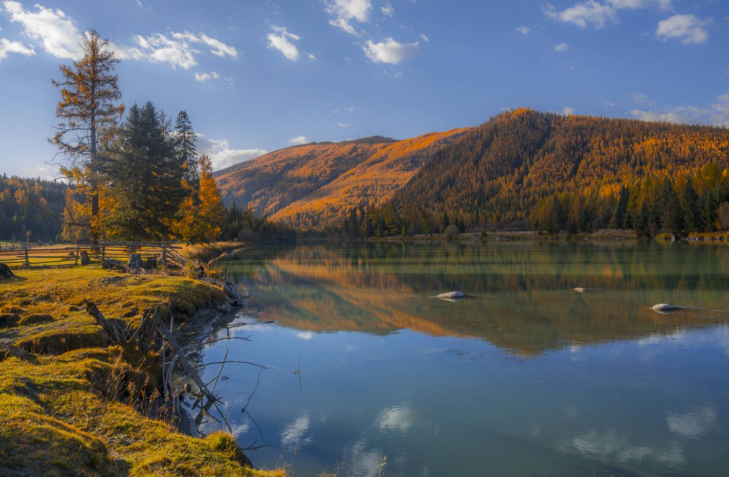 россия, горный алтай, река, осень, утро, безмятежность, отражение, Поляков Андрей