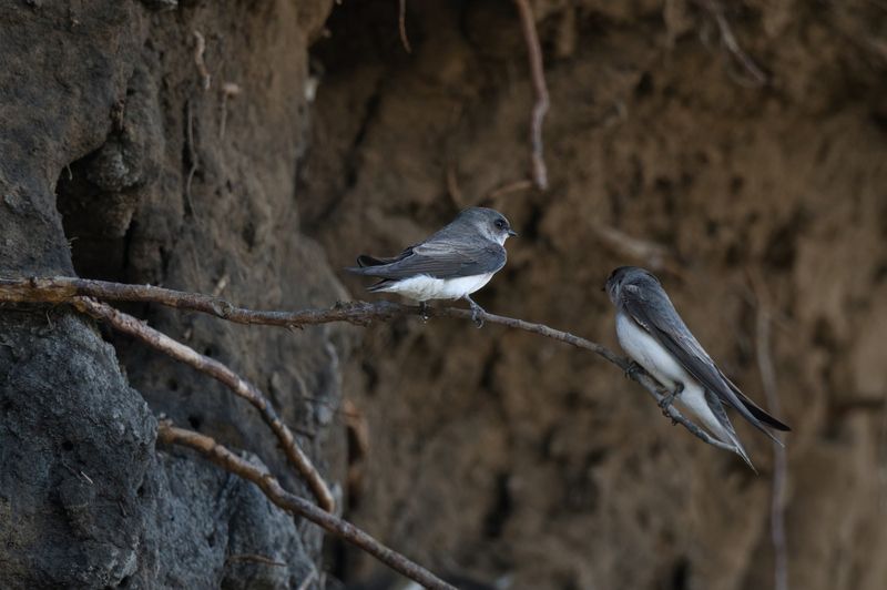 Жилищный вопрос фото превью